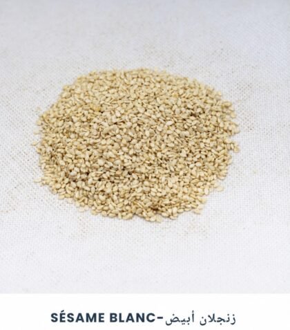 Sésame Blanc 1kg